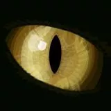 NOT MINE I didn't make this, just need to convert