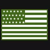 Olive Green USA FLAG