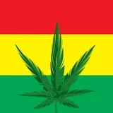 Weed Rasta