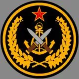 PLA-中国人民解放军海军陆战队