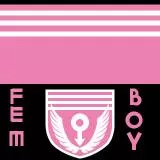 Femboy flag and coat of arms variant 2 (fix)