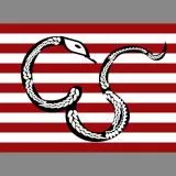 Sons of Liberty Flag