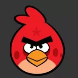 Angery Bird The Right Way