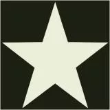 U.S. Army