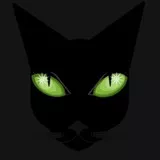 Black Cat Green Eyes Wiskers