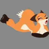 Fox yawning