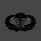 U.S airborne jumpwings