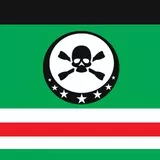 Флаг Ичкерии