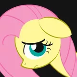 flutter shy