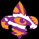 Fleur De Lis Tiger Eye