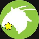 Genesee Bock Beer Goat