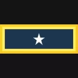 Brigadier General Insignia