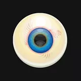 Eyeball