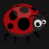 Ladybird