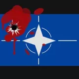 NATO Flag