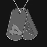 BF4 Dogtag