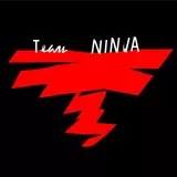 Team NINJA