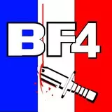 Logo BF4 with cut premium