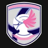 Indigo Squadron Patch (Edited)