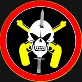 BOPE v.6.a PLATON: http://battlelog.battlefield.com/bf4/platoons/view/4025270583247039482/