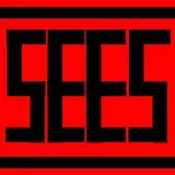 S.E.E.S Patch