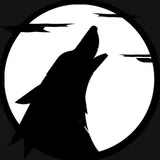 tiago vieira da silva