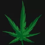 Цветок жизни