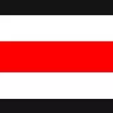 Сцяг Беларусі (Flag of Belarus)