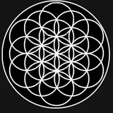 Flower of life