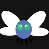 cute fly