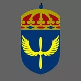 SHGR - Flygvapnet, Air Force