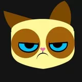 Grumpy cat 20 layers