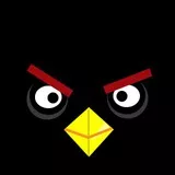 Black Angry Bird