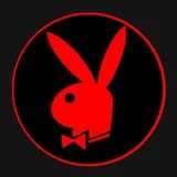 Playboy Bunny