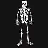 Скелетон