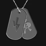 BF4 DogTag