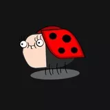 Marvin der Marinenkäfer