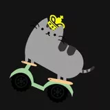 Kitty