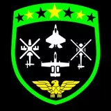 SINS Air Force Division