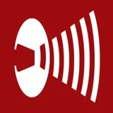 Music For The Masses