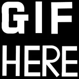GIF HERE