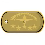 Airstrike Dogtag