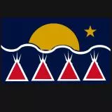 Native Sons Flag