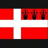 DK FLAG+