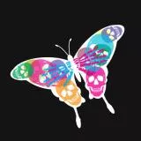 Butterfly ver.2