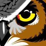 Owl Eye