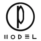 P-MODEL　LOGO