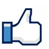 Facebook 'Like' button