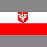 Polish flag