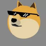 DOGE SUNGLASES YAHPP